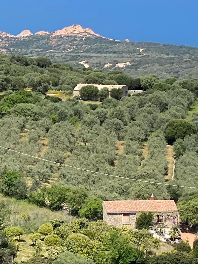 Hébergement de vacances Stazzo Isola Rossa Di Gallura Trinità dʼAgultu