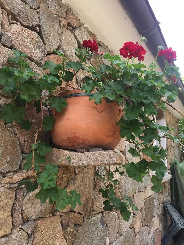 Stazzo Isola Rossa Di Gallura Trinità dʼAgultu Hébergement de vacances