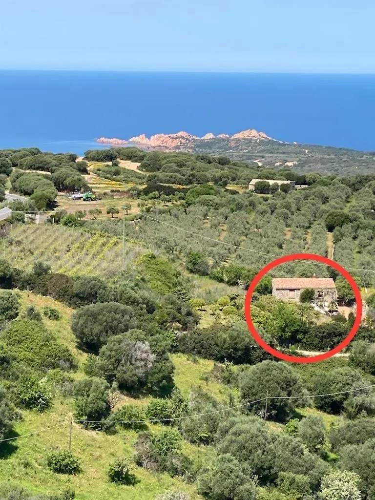 Stazzo Isola Rossa Di Gallura Trinita d'Agultu e Vignola